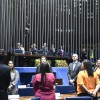 Em posição de respeito, parlamentares e convidados acompanham execução do Hino Nacional interpretado pelo Coral Ecumênico Infantojuvenil Boa Vontade.

 
