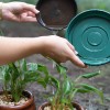 6. Coloque areia nos vasos das plantas — É muito comum o uso de pratos nos vasos de plantas, porém, essa prática pode gerar o acúmulo de água. Para impedir que isso aconteça, existem três alternativas: eliminar o prato; lavá-lo regularmente para, caso houver, retirar os ovos do mosquito; ou colocar areia que conserva a umidade da travessa impedindo a proliferação da dengue.