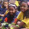 JUIZ DE FORA/BRAZIL —The LBV’s schools deal with sustainability in a special way. In educational activities and projects, children learn from an early age about the importance of conserving Nature, life, and the equilibrium that exists in our relationship with the environment.