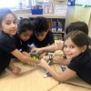 Spring 2019 - Students at Oliver St. School learn about protecting the environment under the theme “Our Home is the Planet Earth