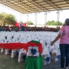Boa Vista, RR - Famílias do Norte do Brasil terão um Natal mais feliz e com alimento na mesa, graças à sua contribuição.