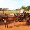 Dourados, MS - Centenas de famílias foram beneficiadas pela campanha