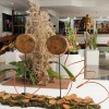 Peças da 28º Exposição de Ikebana Sogetsu, arte de montar arranjos utilizando elementos da natureza.

