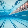 5. Limpe piscinas — Outra medida que pode ser adotada para o combate à dengue é manter as piscinas limpas, uma vez que elas podem se tornar focos da doença em períodos de surtos. Então lembre-se: piscinas em uso devem ser tratadas com cloro semanalmente; quando não estão sendo usadas é recomendado cobri-las com uma lona; e não se esqueça de limpar os ralos externos.