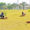 Americana, SP - Várias espécies de mudas foram plantadas pelos jovens Ecumênicos da Boa Vontade de Deus.
