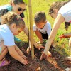 Americana, SP - Várias espécies de mudas foram plantadas pelos jovens Ecumênicos da Boa Vontade de Deus.

