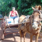 Dourados, MS — Movida pelo ideal de Fraternidade que a sustenta, a Legião da Boa Vontade trabalha, desde seus primórdios, para melhorar a qualidade de vida das populações menos favorecidas.
