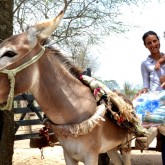 Buíque, PE — Um sorriso agradecido se fez presente na vida de milhares de famílias atendidas pela campanha Natal Permanente da LBV — Jesus, o Pão Nosso de cada dia!. \o/

