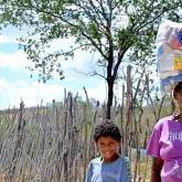 Pedra, PE — A ação da LBV convida o povo brasileiro a se unir em prol de um Natal mais farto às famílias de baixa renda.
