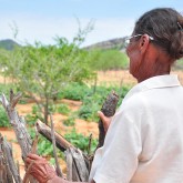 Sobradinho, BA — Dona Idalina Carvalho da Silva observa, satisfeita, sua produção de feijão. O plantio, feito há alguns meses, começou com grãos da cesta de alimentos que recebeu da LBV em 2016.
