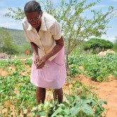 Sobradinho, BA — Dona Idalina Carvalho da Silva começa a colher, com muita alegria, sua produção de feijão. O plantio, feito há alguns meses, começou com grãos da cesta de alimentos que recebeu da LBV em 2016.
