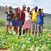 Sobradinho, BA  — Dona Idalina é viúva e mora com sua família na comunidade de São Gonçalo em Sobradinho.
