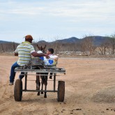 Juazeiro, BA — A ação da LBV convida o povo brasileiro a se unir em prol de um Natal mais farto a famílias de baixa renda.
