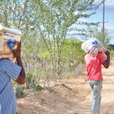 Uauá, BA — Em meio a vegetação seca e de espinhos, homens levam suas cestas de alimentos para casa.
