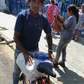 Araguari, MG — Natal é época de união e solidariedade! A campanha de Natal da LBV leva às famílias a Solidariedade e a certeza de ceia farta com as cestas de alimentos.
 
