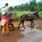 Dourados, MS — Famílias da aldeia indígena Bororó receberam as doações de cestas de alimentos da campanha Natal Permanente da LBV — Jesus, o Pão Nosso de cada dia!.

