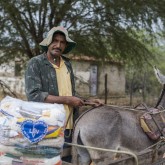 Curaçá, BA — As marcas da exposição ao sol são visíveis no rosto de quem trabalha o dia todo para garantir o sustento da família, e, apesar disso, o alimento ainda falta na mesa desse povo batalhador. Mas a LBV está sempre onde o povo precisa e foi levar mais alegria para a região, entregando as cestas de alimentos da Campanha Natal Permanente!