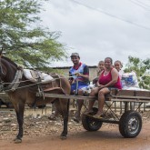 Sobradinho, BA —  A campanha Natal Permanente da LBV — Jesus, o Pão Nosso de cada dia! é o coroamento do importante trabalho solidário que, há mais de seis décadas, é apoiado pelo povo.