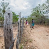 Uauá, BA — As belezas naturais que fazem a Região Nordeste ser destaque no roteiro turístico atraindo pessoas de todo o mundo se misturam à seca que assola há anos os principais estados brasileiros. Chega a ser contraditório e desolador.